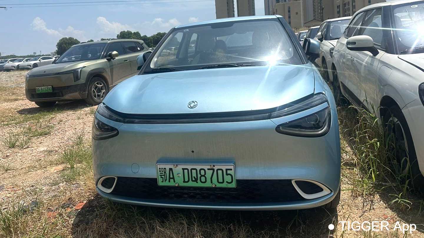 DONGFENG NAMMI‌ 01 2024 330 Plus