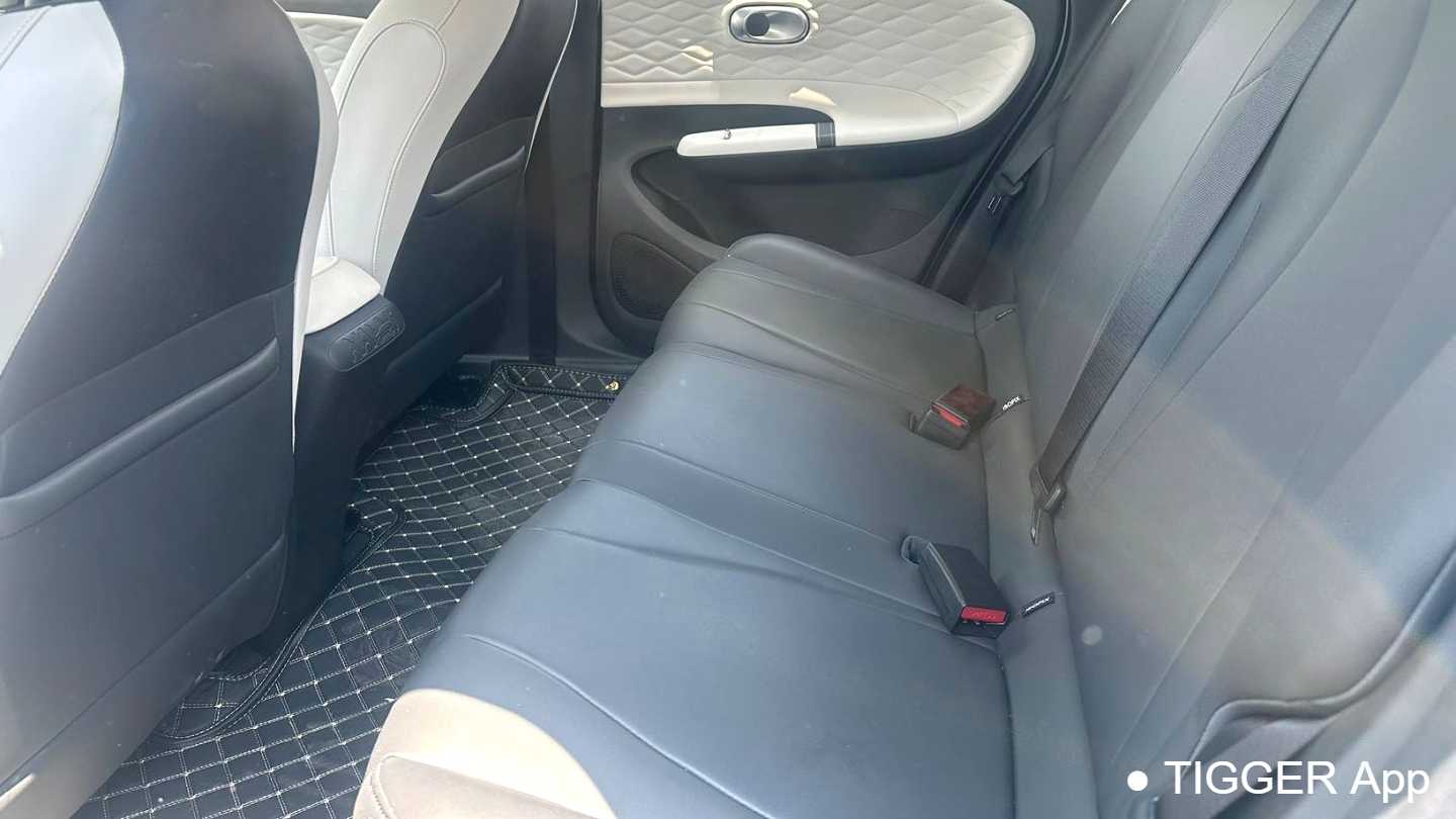 DONGFENG NAMMI‌ 01 2024 330 Plus