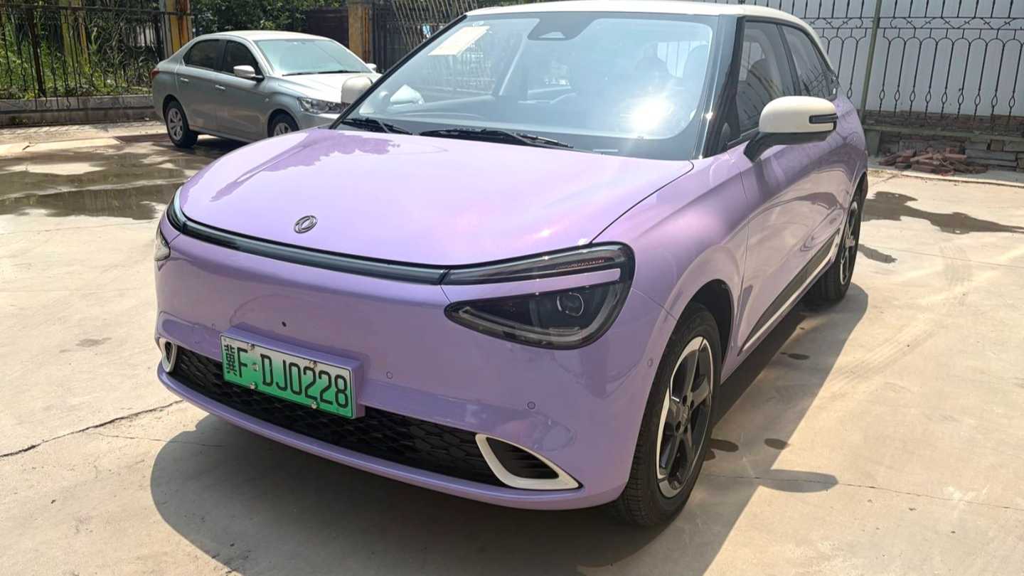 DONGFENG NAMMI‌ 01 2025 330 Driving Training Edition