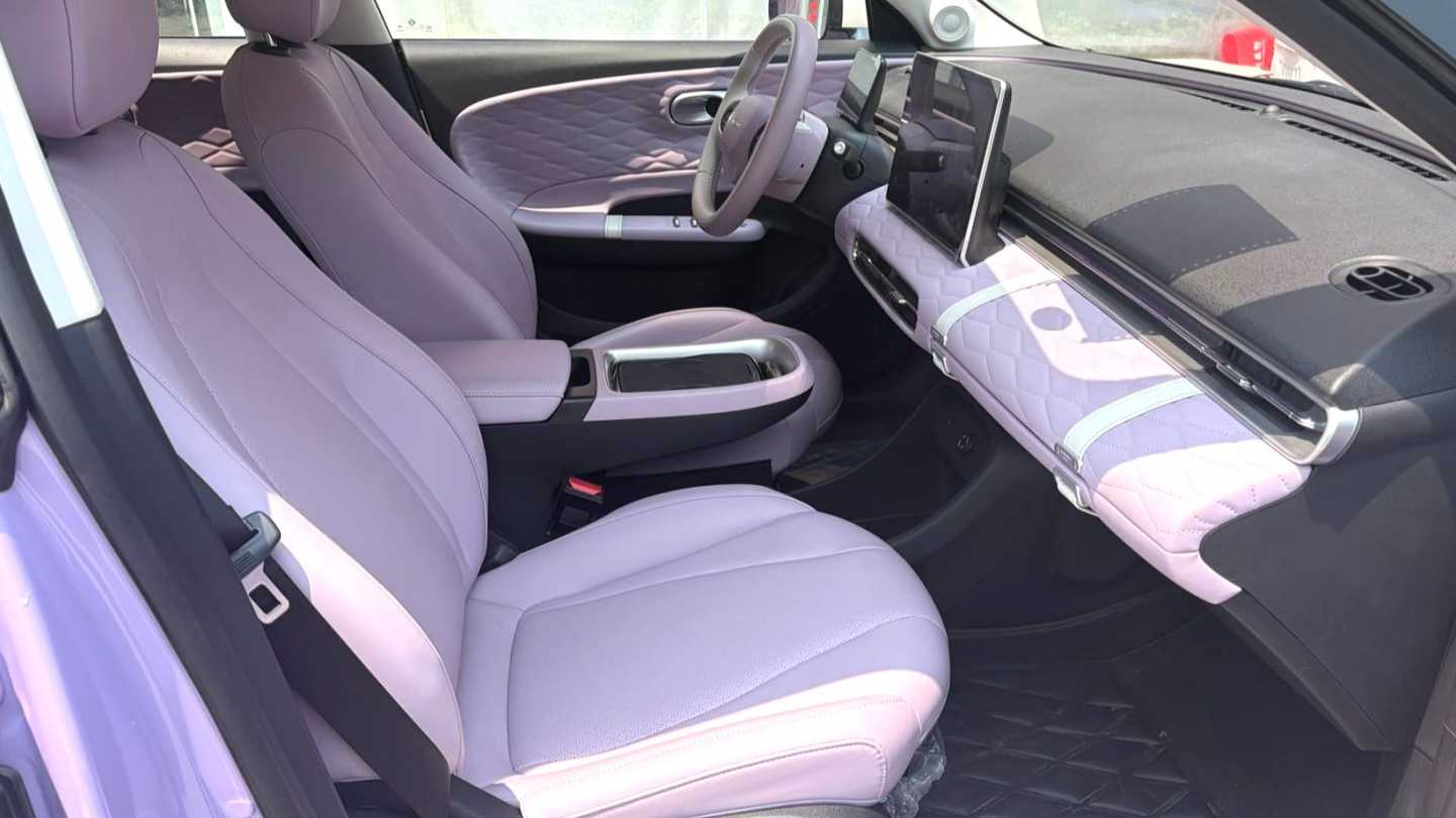 DONGFENG NAMMI‌ 01 2025 330 Driving Training Edition