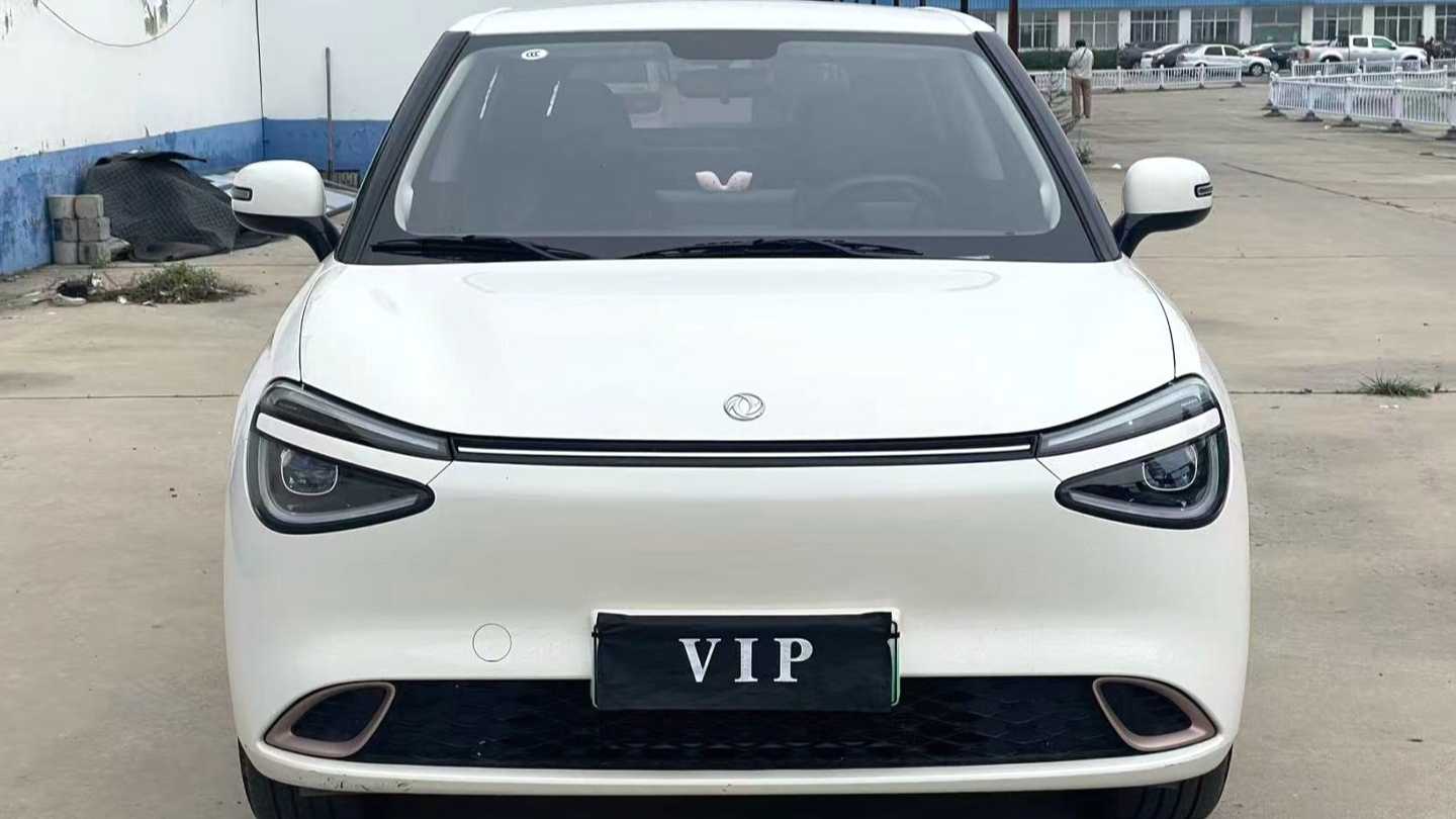 DONGFENG NAMMI‌ 01 2024 330 Air