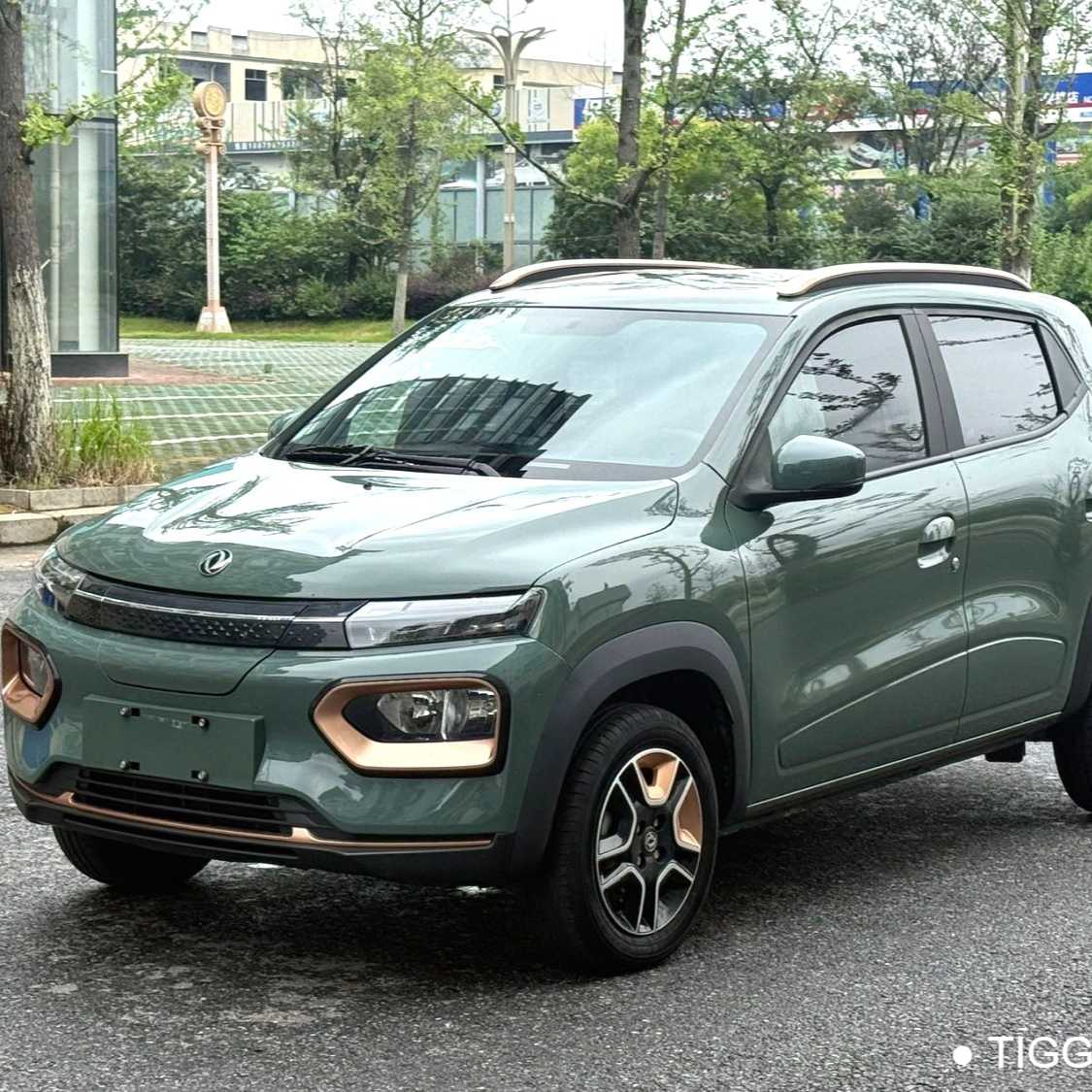 DONGFENG EX1 PRO 2022 Upgraded PRO Enjoyment Model Used Car