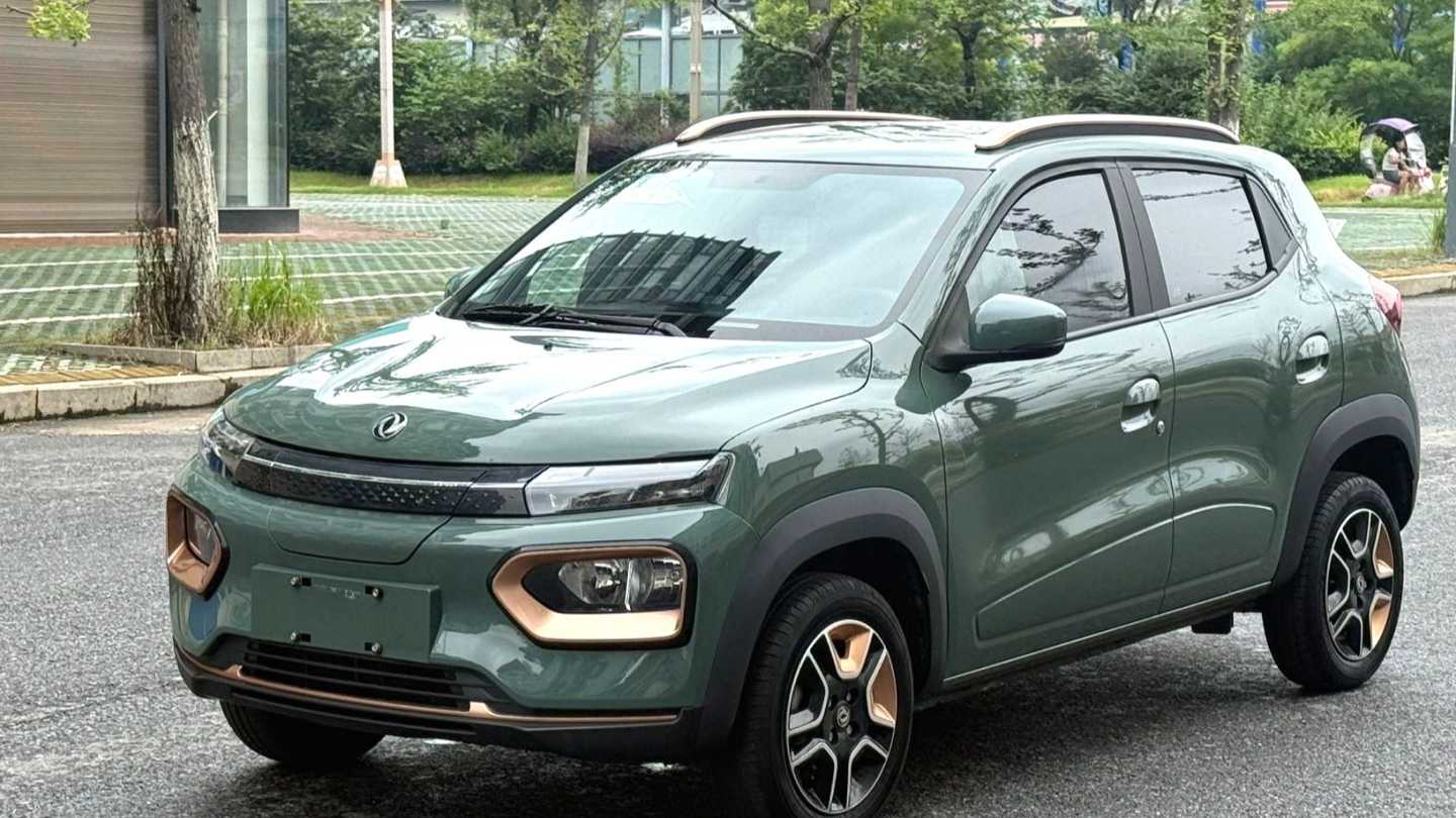 DONGFENG EX1 PRO 2022 Upgraded PRO Enjoyment Model