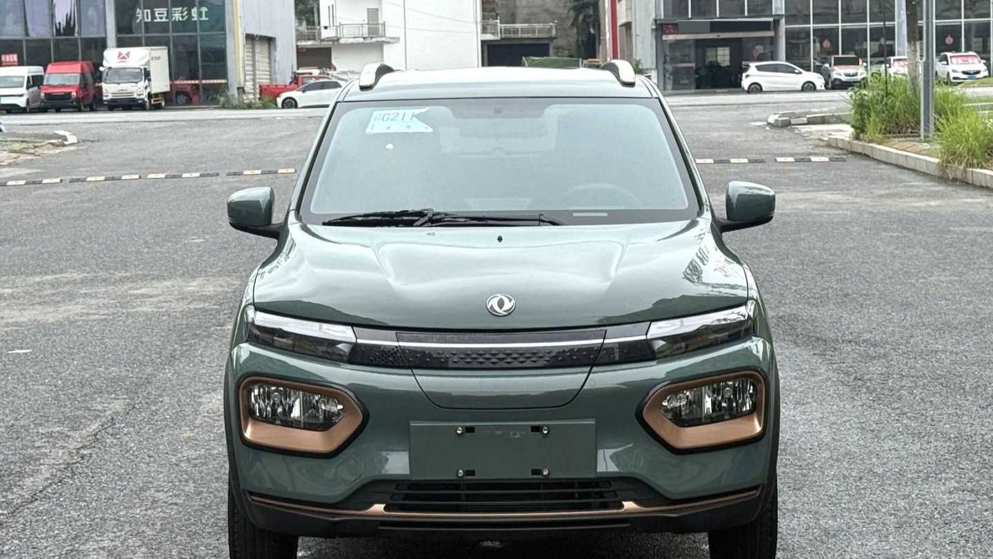 DONGFENG EX1 PRO 2022 Upgraded PRO Enjoyment Model