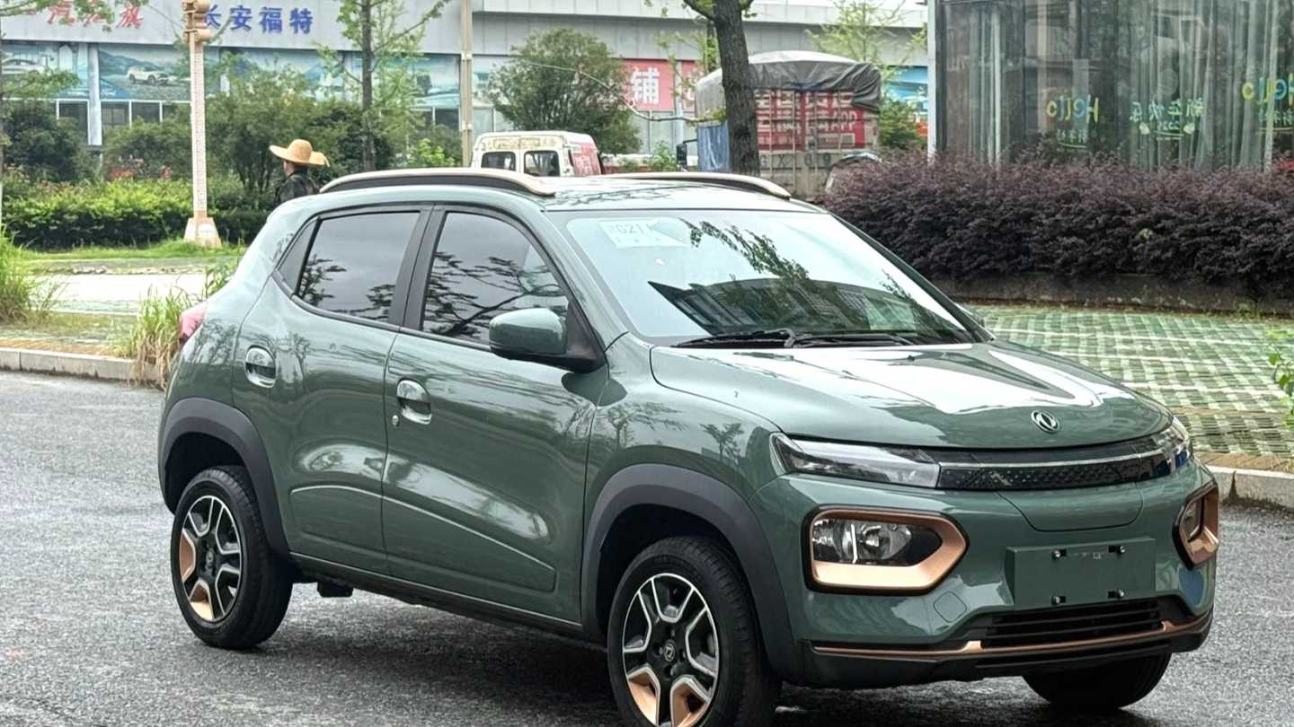 DONGFENG EX1 PRO 2022 Upgraded PRO Enjoyment Model