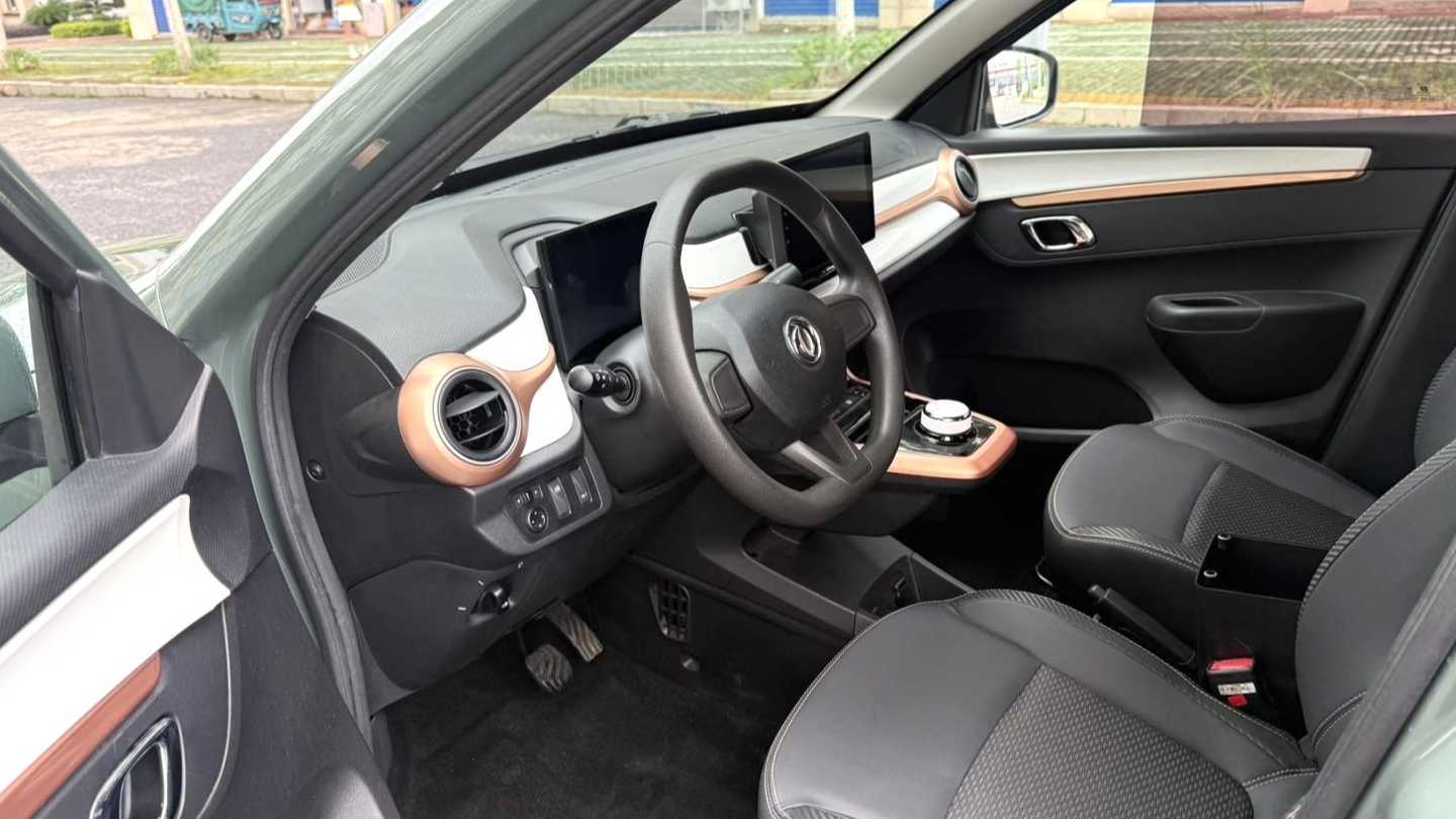 DONGFENG EX1 PRO 2022 Upgraded PRO Enjoyment Model