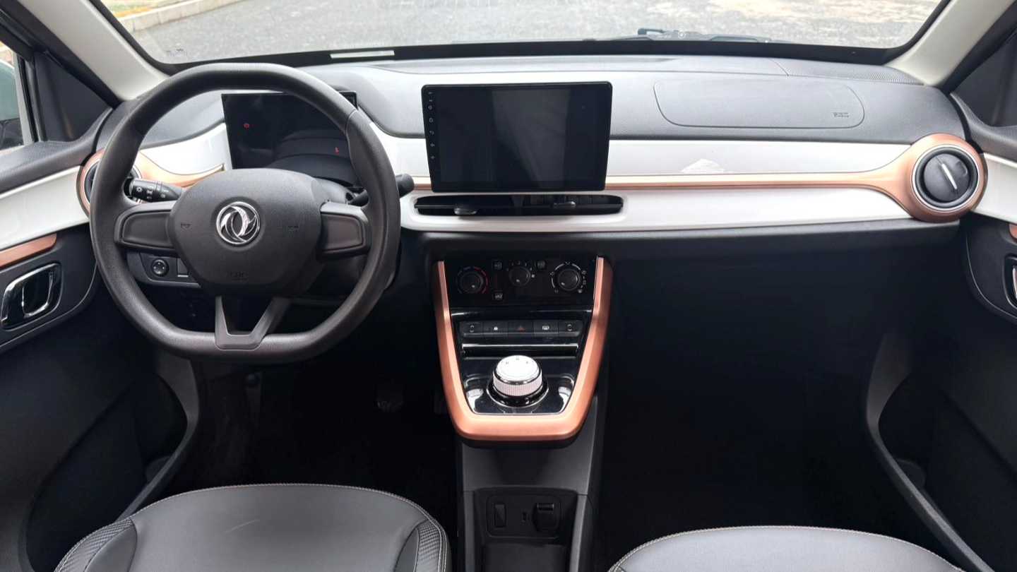 DONGFENG EX1 PRO 2022 Upgraded PRO Enjoyment Model