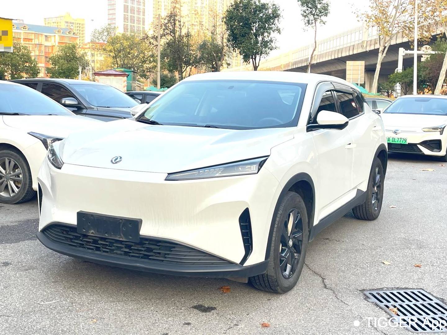 AEOLUS 2024 SKY EV01 440km True Fragrance Edition Automatic Transmission