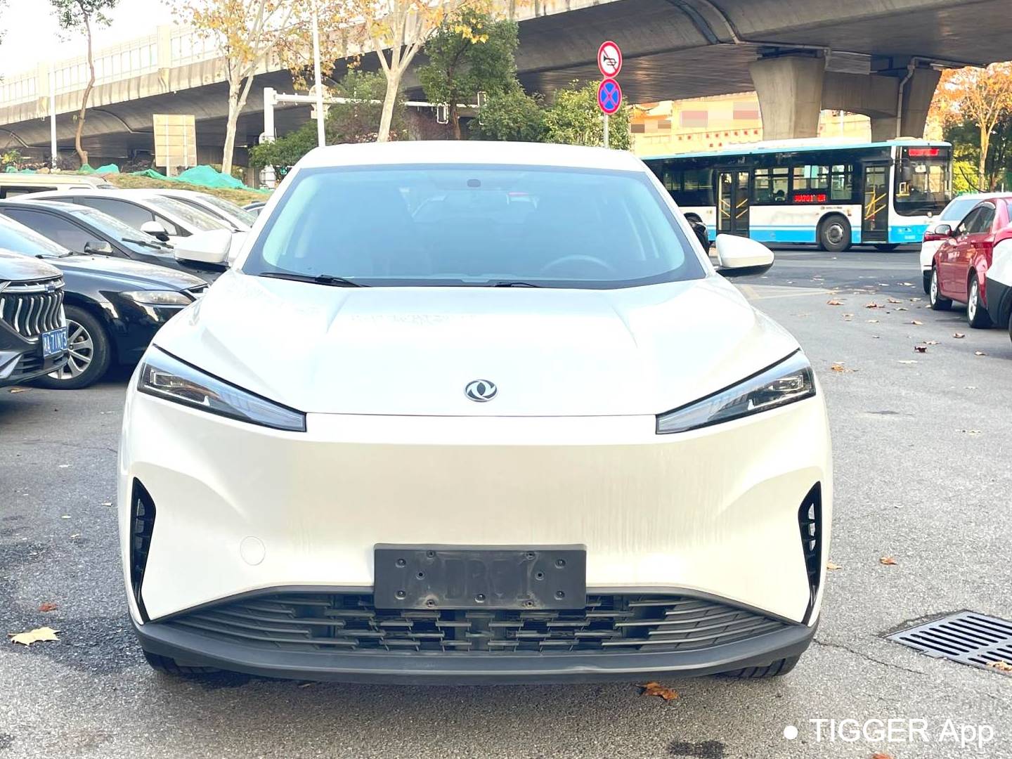 AEOLUS 2024 SKY EV01 440km True Fragrance Edition Automatic Transmission