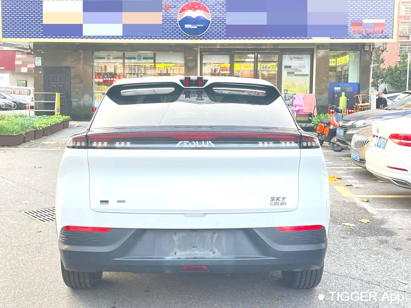 AEOLUS 2024 SKY EV01 440km True Fragrance Edition Automatic Transmission