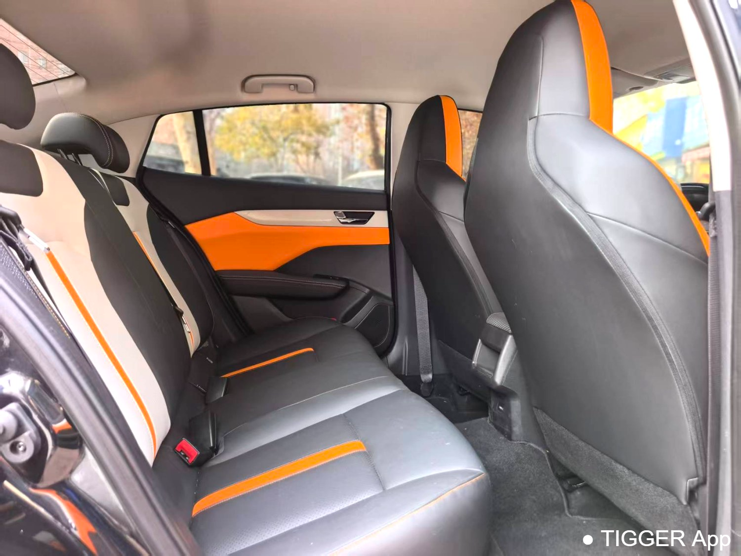 AEOLUS  2023 Yi Xuan 1.5 Wind Chasing Edition Automatic Transmission