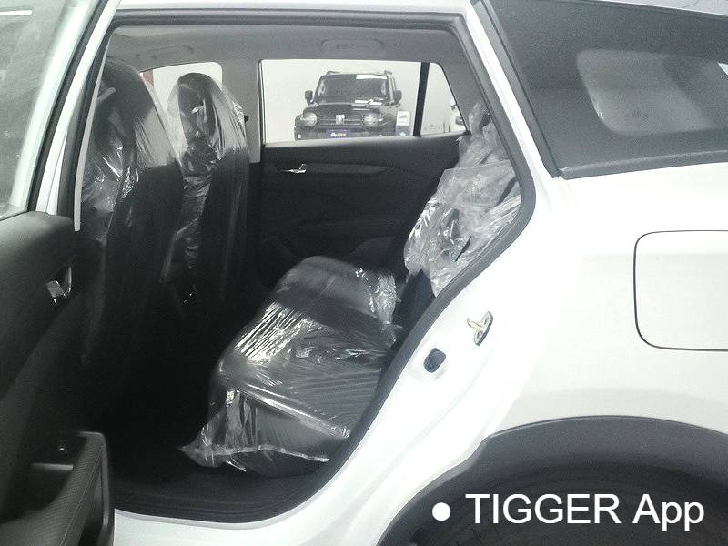 AEOLUS  2024  Yi Xuan GS 1.5 Mach Edition Starry Edition Automatic Transmission