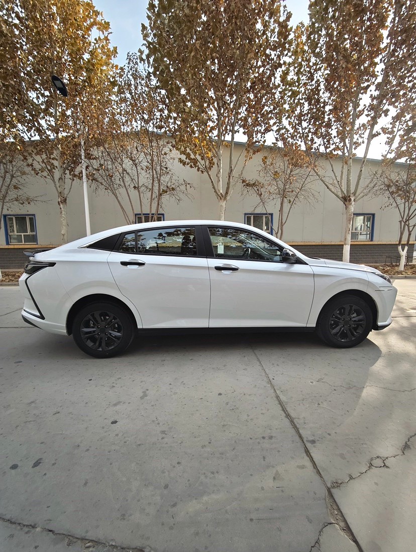 AEOLUS 2023 Yi Xuan 1.5 Enjoyment Edition Automatic Transmission