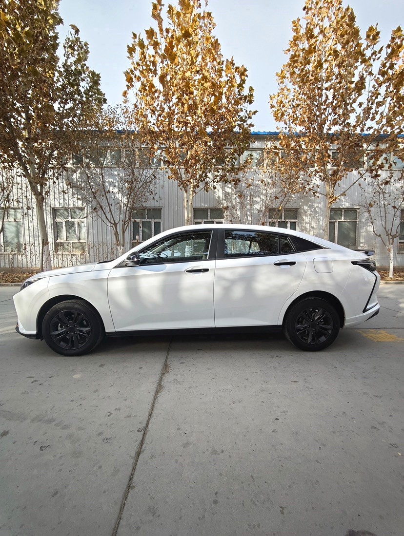 AEOLUS 2023 Yi Xuan 1.5 Enjoyment Edition Automatic Transmission