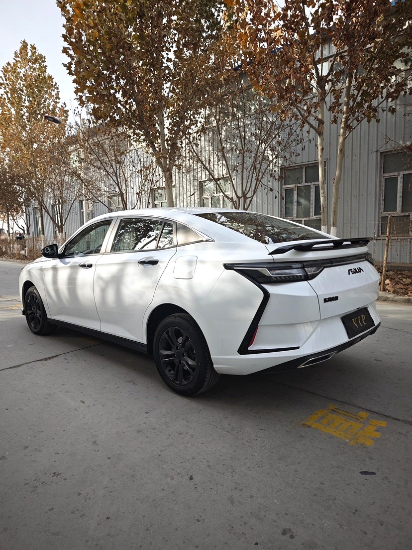 AEOLUS 2023 Yi Xuan 1.5 Enjoyment Edition Automatic Transmission