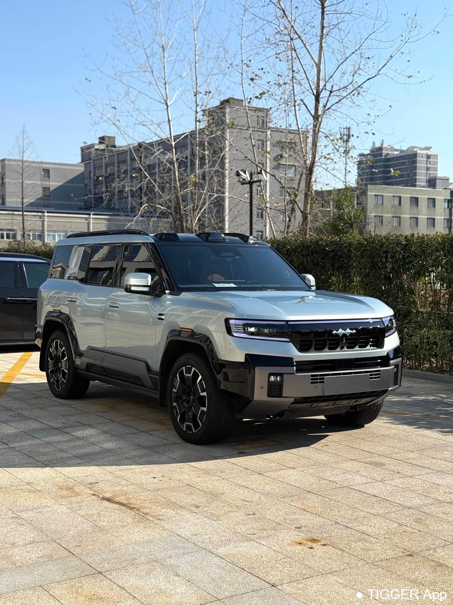 二手Formula Leopard‌ 2025 Leopard 8 2.0T Stepless Intelligent Brave Flagship Edition 7-seater Automatic Transmission