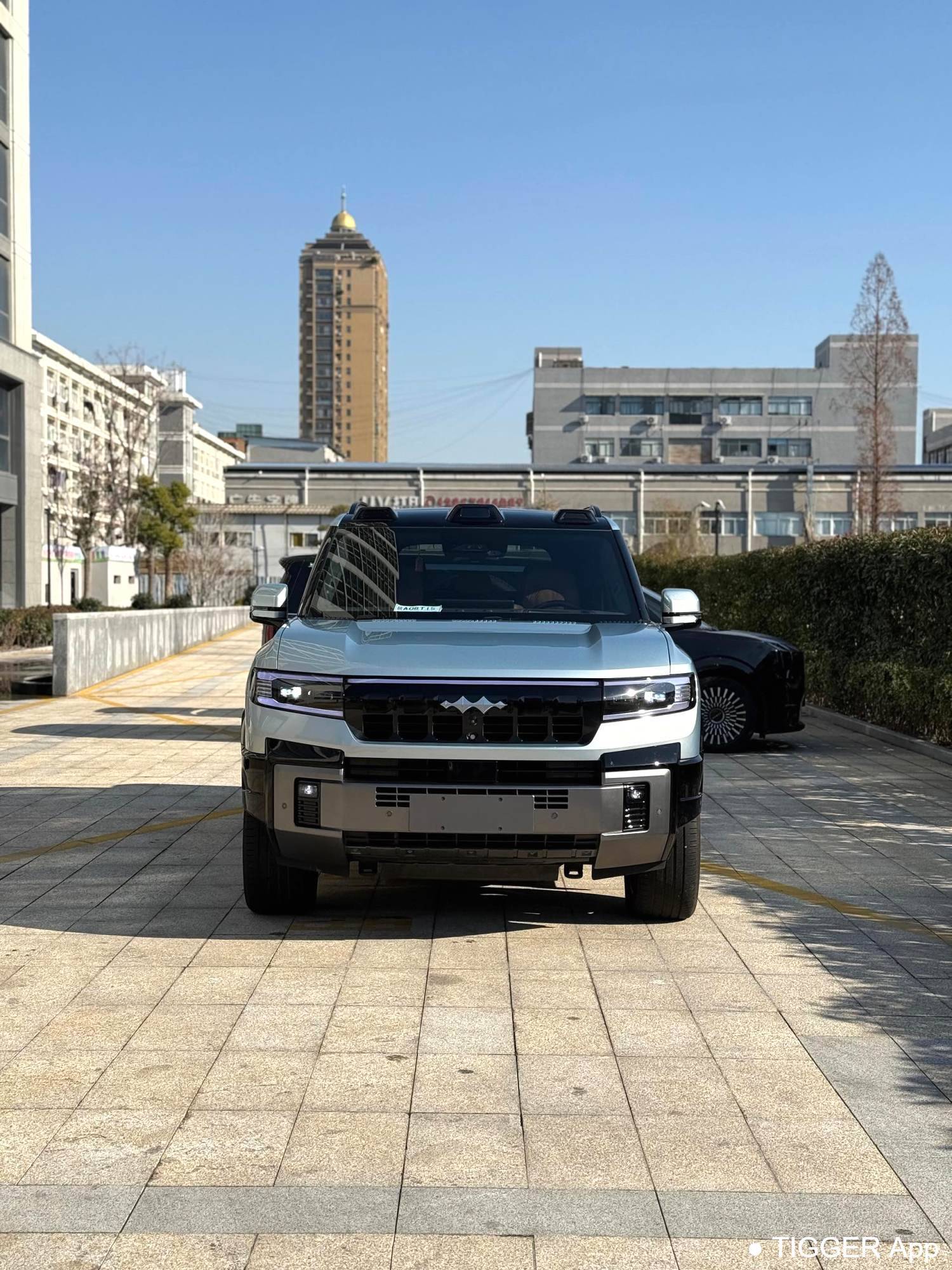 二手Formula Leopard‌ 2025 Leopard 8 2.0T Stepless Intelligent Brave Flagship Edition 7-seater Automatic Transmission