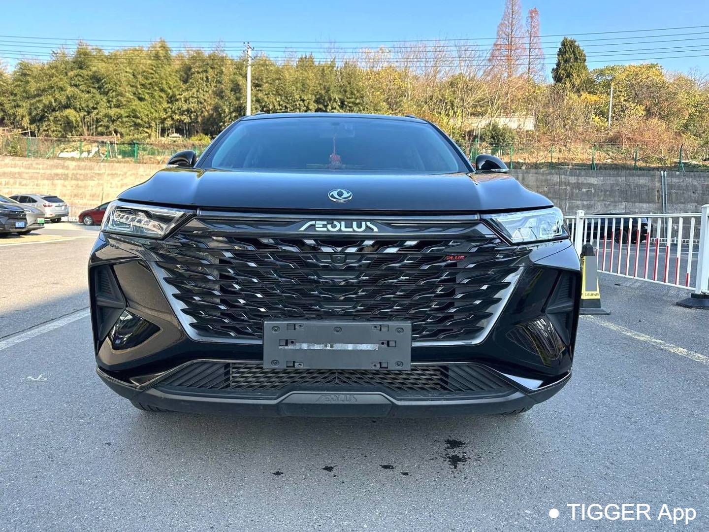 AEOLUS 2023 AX7 PLUS 1.5T Mach Edition DF31 Automatic Transmission