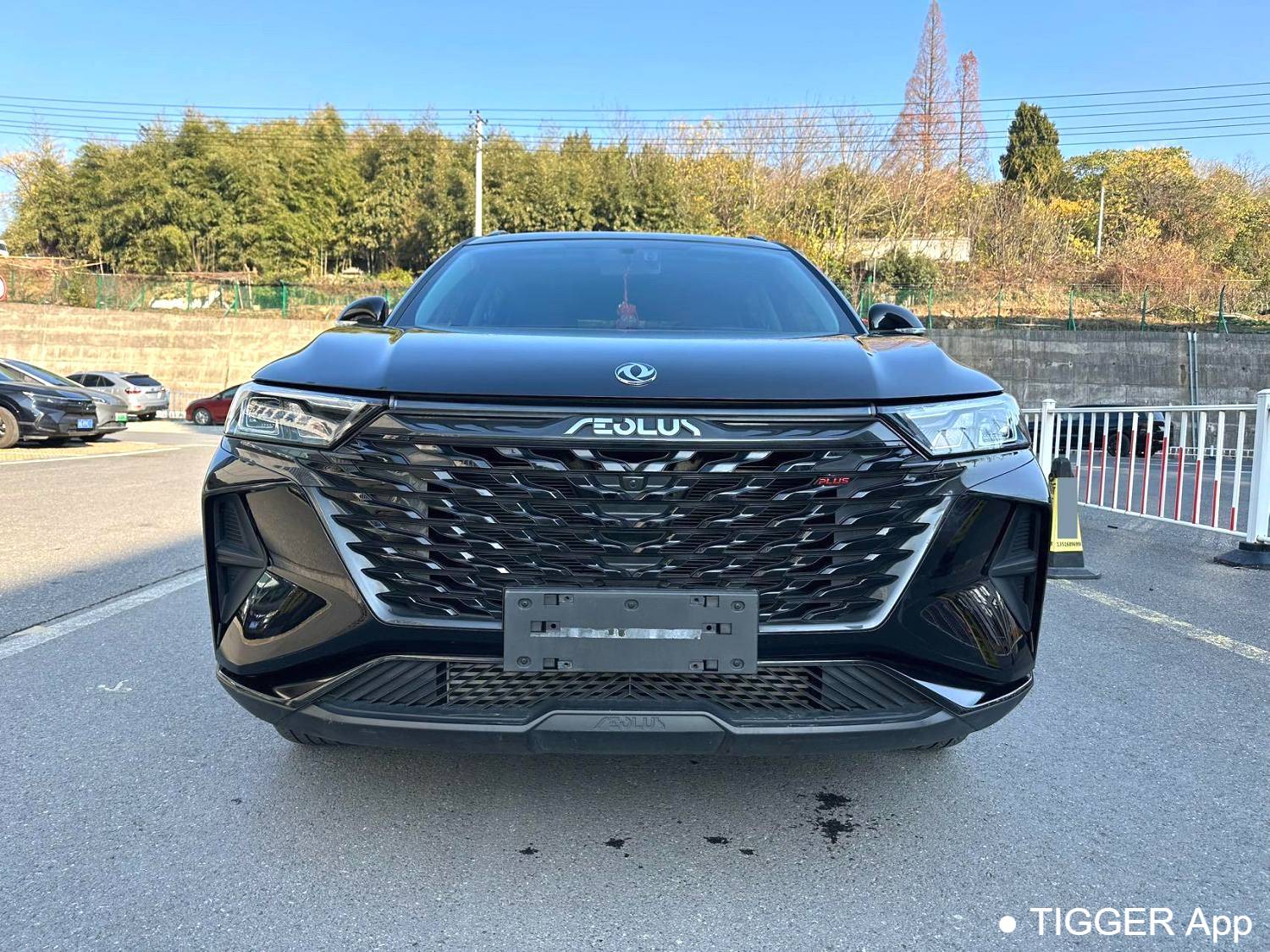 AEOLUS 2023 AX7 PLUS 1.5T Mach Edition DF31 Automatic Transmission