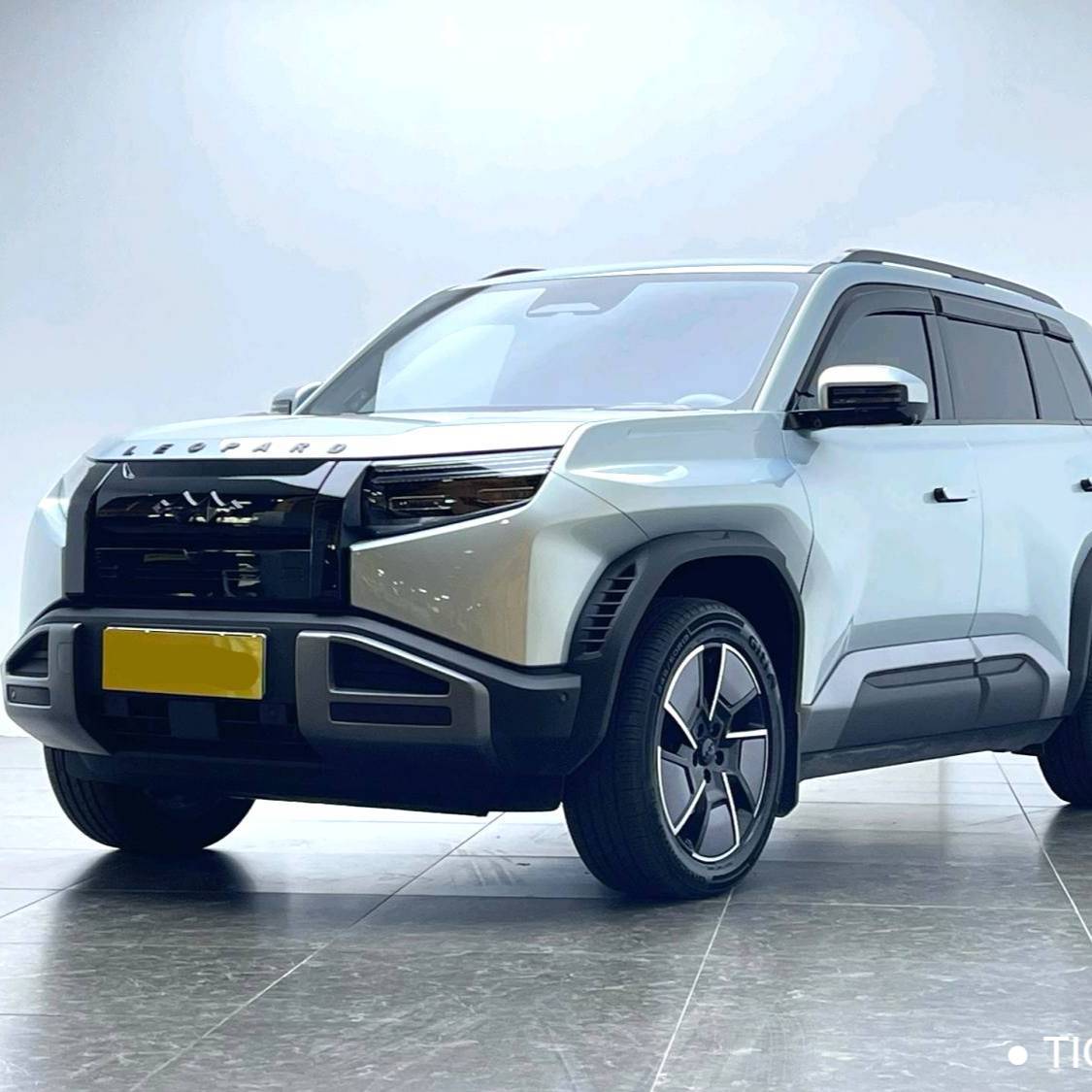 Formula Leopard‌ 2025 T3 501KM 4WD Intelligent Driving Max Edition Automatic Transmission 二手车