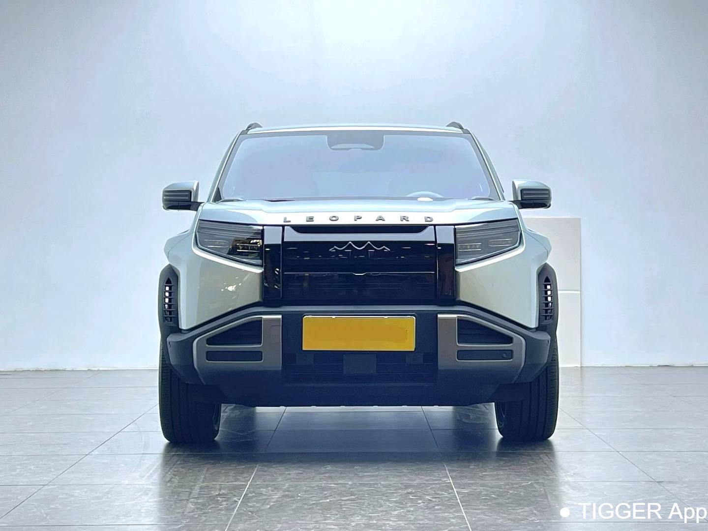 Formula Leopard‌ 2025 T3 501KM 4WD Intelligent Driving Max Edition Automatic Transmission