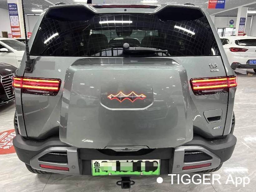 Formula Leopard‌ 2025 T3 501KM 4WD Intelligent Driving Max Edition Automatic Transmission