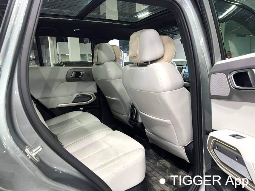 二手Formula Leopard‌ 2025 T3 501KM 4WD Intelligent Driving Max Edition Automatic Transmission