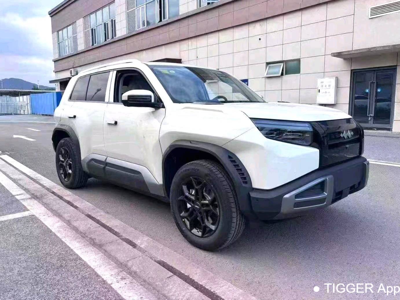 Formula Leopard‌ 2025 T3 501KM 4WD Intelligent Driving Max Edition Automatic Transmission