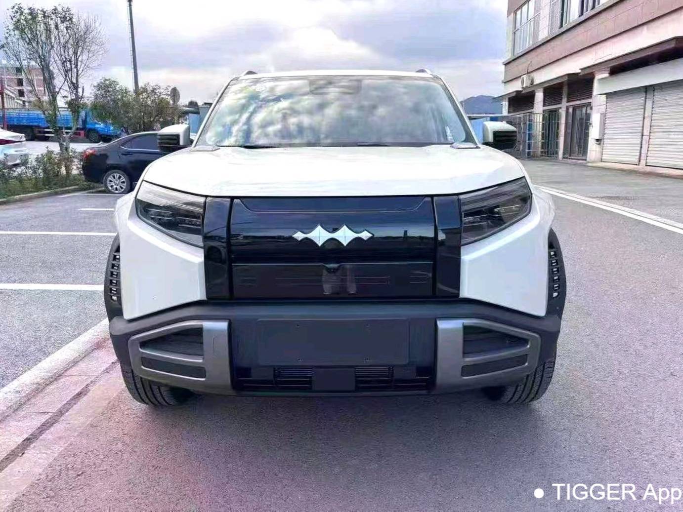 Formula Leopard‌ 2025 T3 501KM 4WD Intelligent Driving Max Edition Automatic Transmission