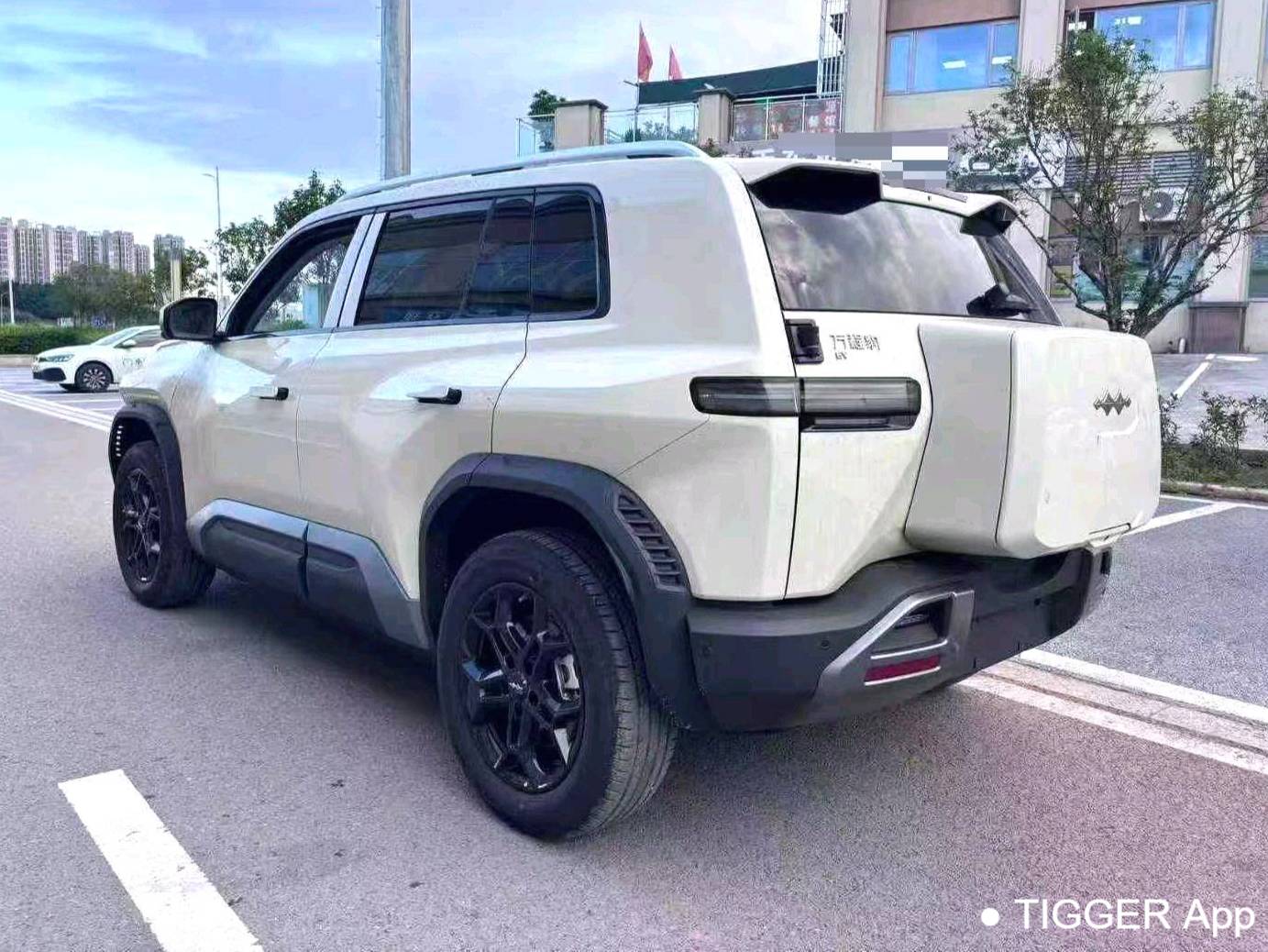 Formula Leopard‌ 2025 T3 501KM 4WD Intelligent Driving Max Edition Automatic Transmission