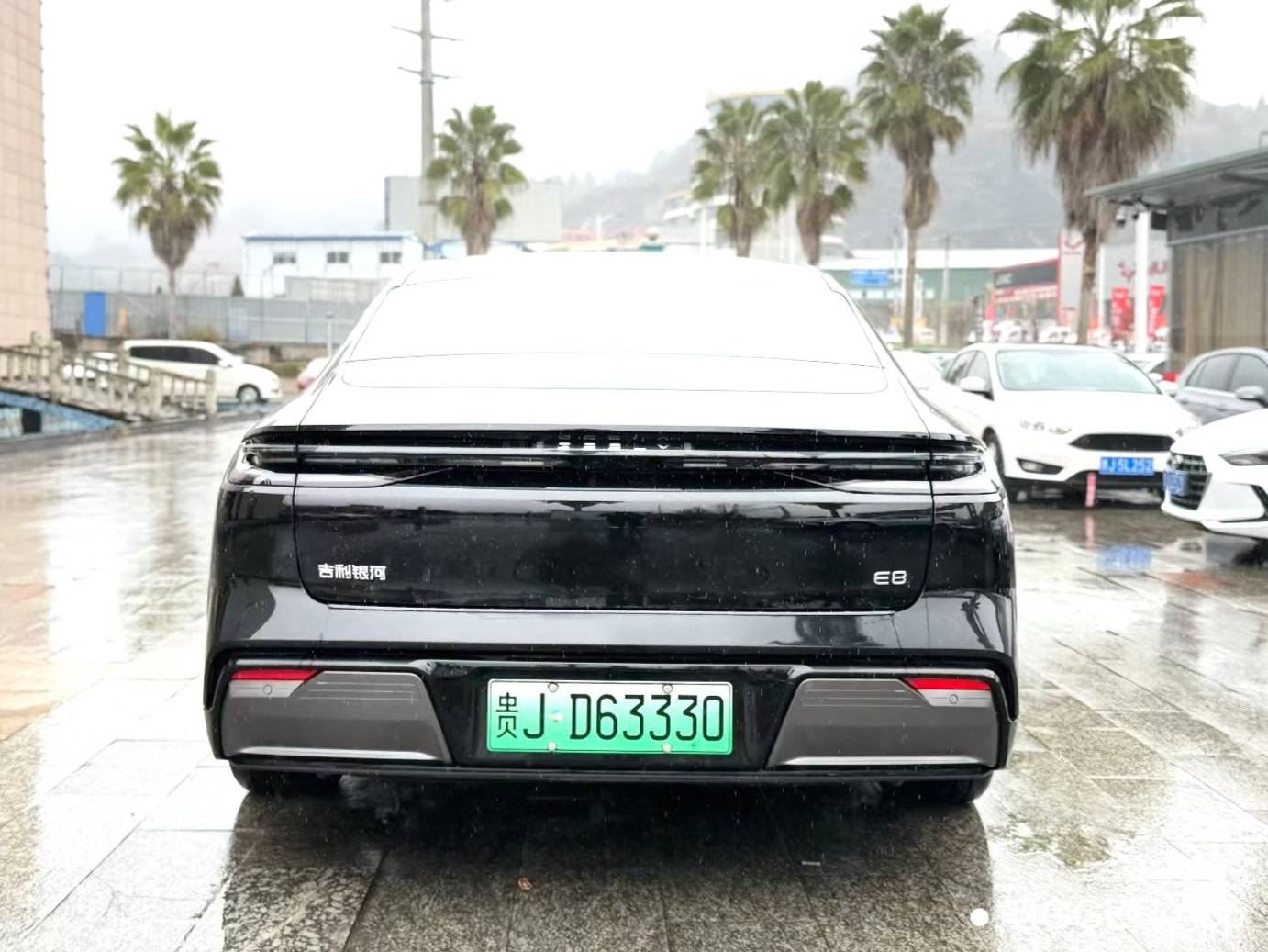 GALAXY 2024 E8 550km rear wheel drive Longteng version automatic transmission