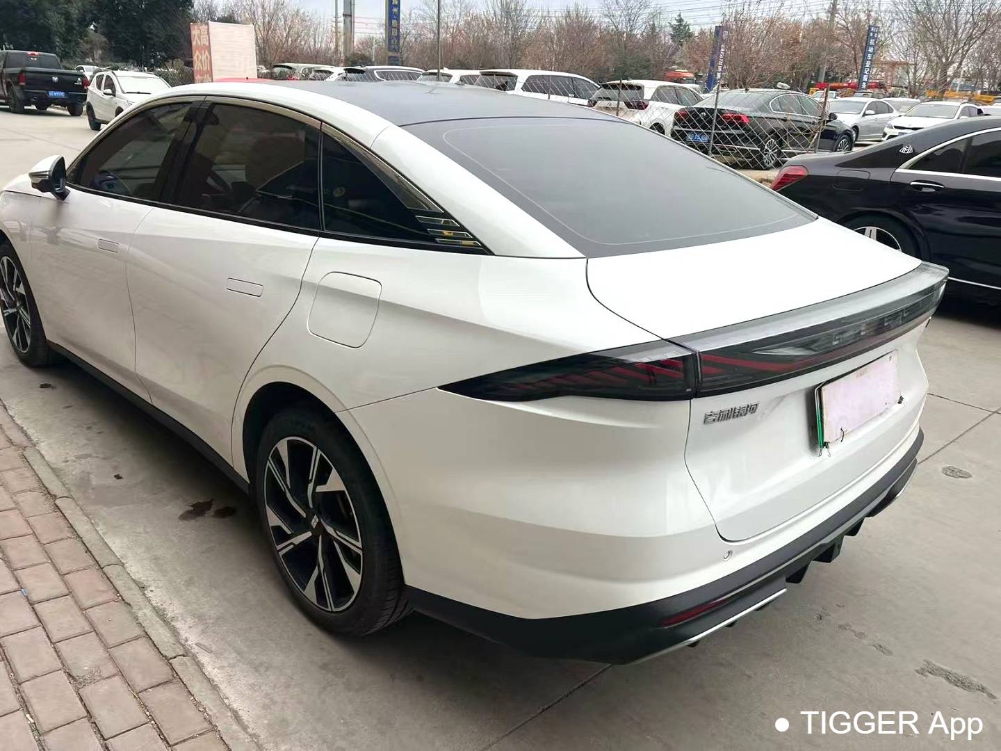 GALAXY 2024 L6 1.5T Longteng Edition 125km PLUS Automatic Transmission