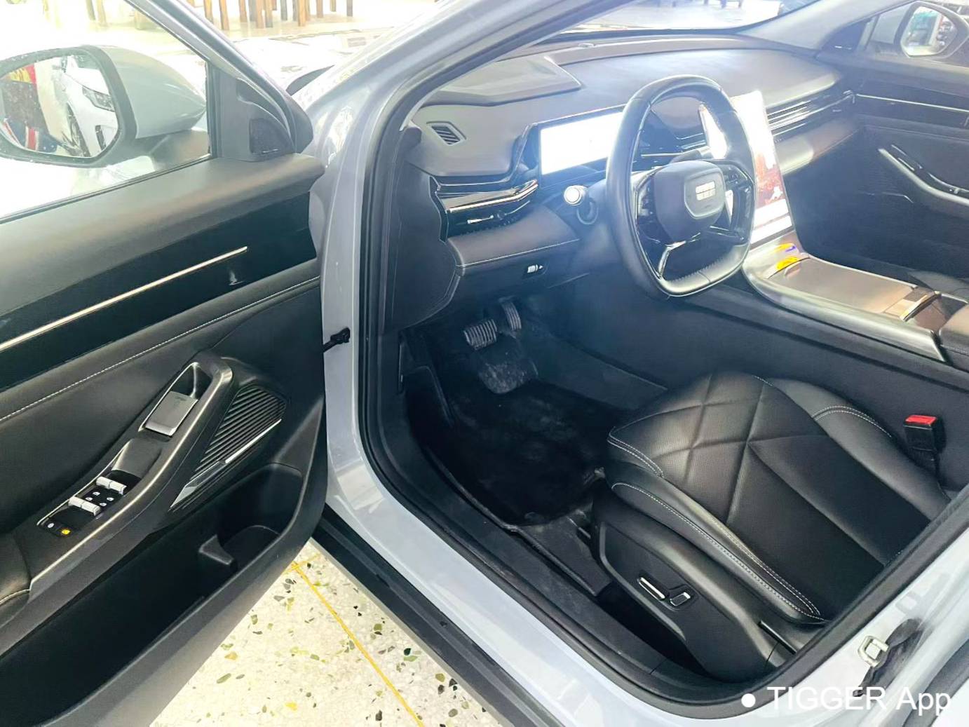 GALAXY 2024 L6 1.5T Longteng Edition 125km PLUS Automatic Transmission