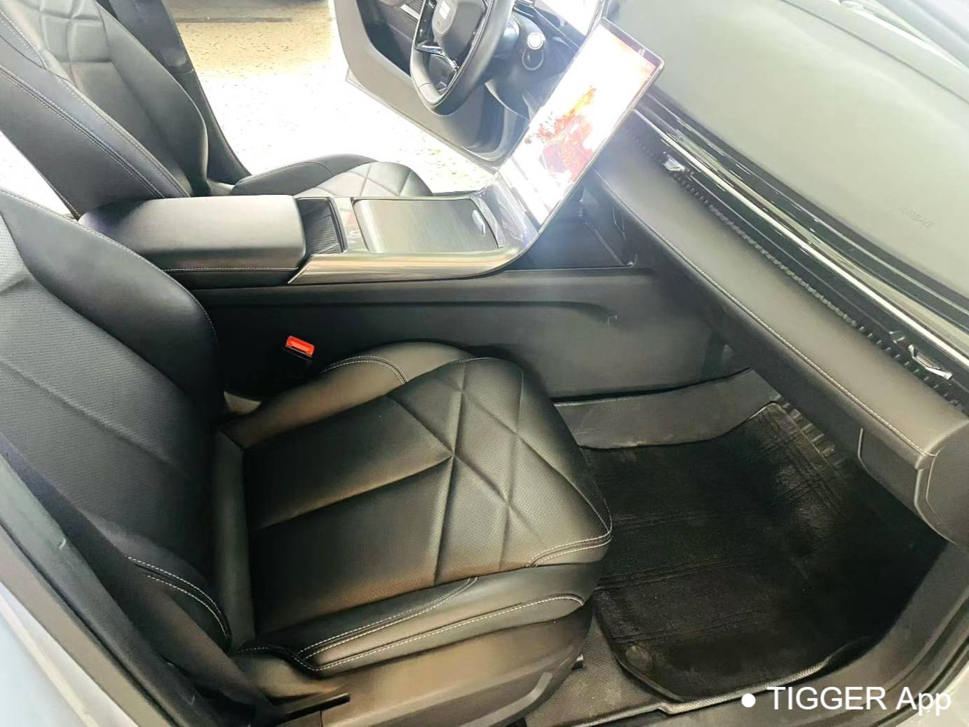 GALAXY 2024 L6 1.5T Longteng Edition 125km PLUS Automatic Transmission