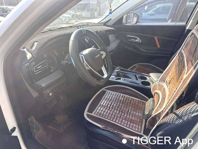 OSHAN X7 PLUS 2022 X7 PLUS 1.5T blue whale noble automatic transmission