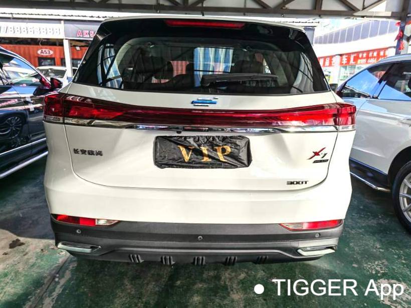 OSHAN 2022 X7 PLUS 1.5T Blue Whale Exclusive Automatic Transmission