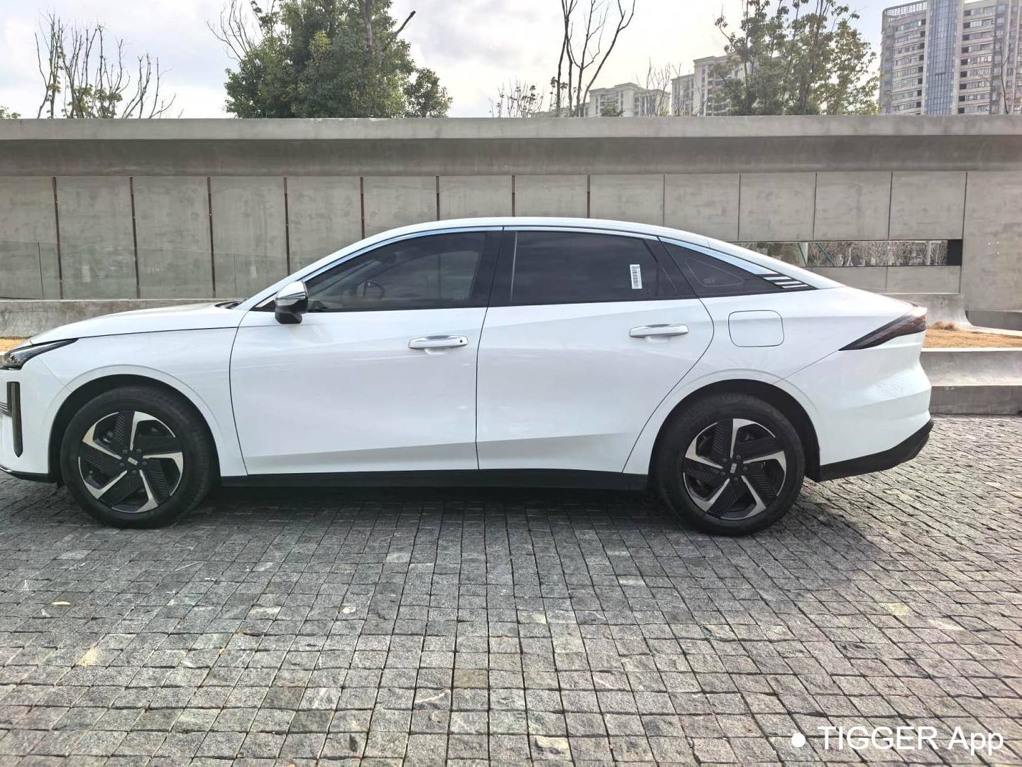 GALAXY  2025 L6 EM-i 1.5 140km Starship Edition Automatic Transmission