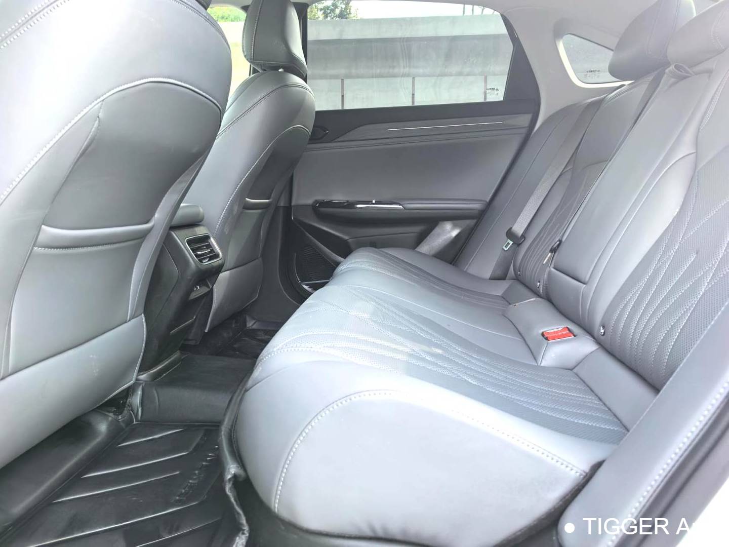 GALAXY  2025 L6 EM-i 1.5 140km Starship Edition Automatic Transmission