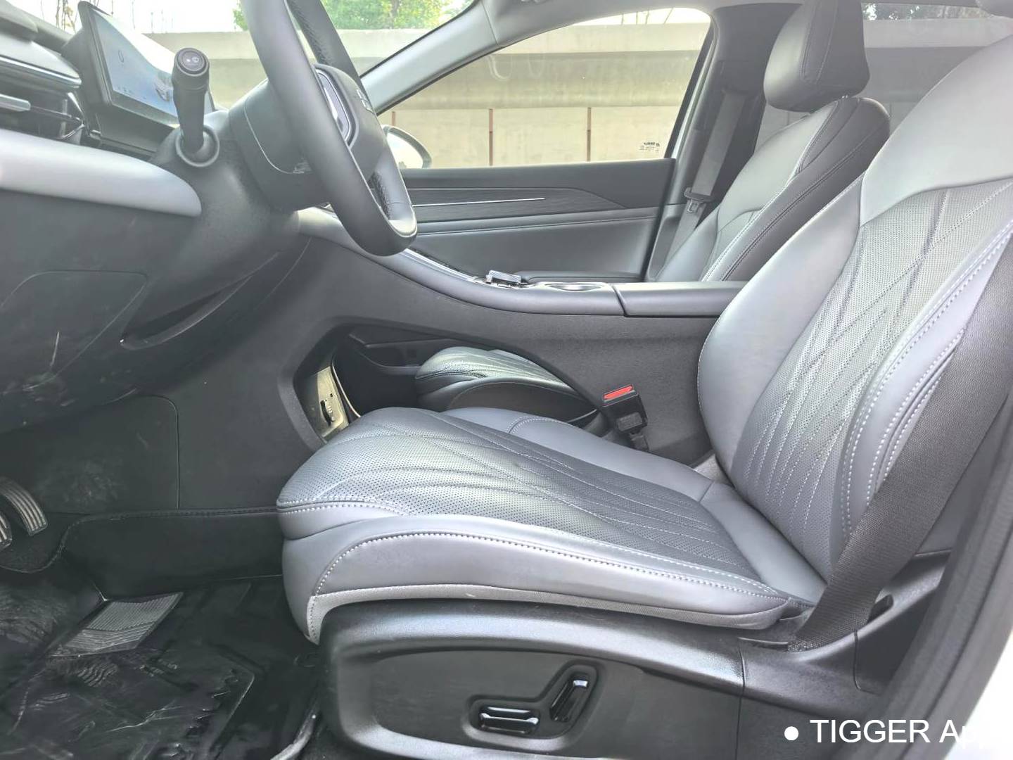 GALAXY  2025 L6 EM-i 1.5 140km Starship Edition Automatic Transmission