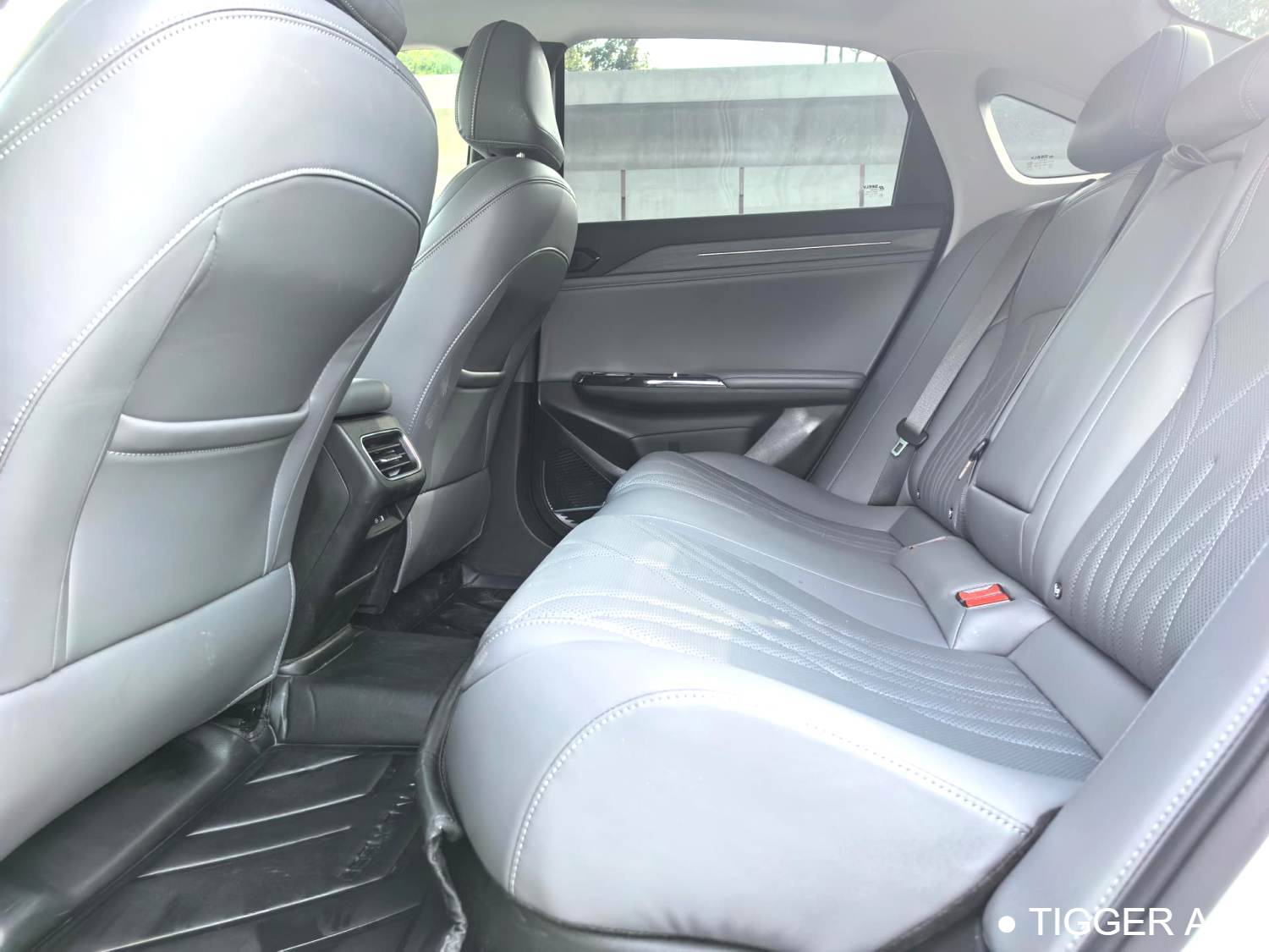 GALAXY  2025 L6 EM-i 1.5 140km Starship Edition Automatic Transmission