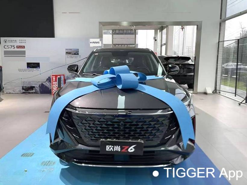 OSHAN 2023 Z6 1.5T blue whale smart collar city version automatic transmission