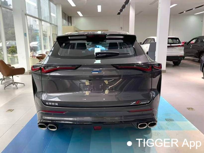 OSHAN 2023 Z6 1.5T blue whale smart collar city version automatic transmission