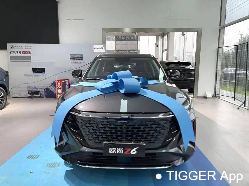 OSHAN 2023 Z6 1.5T blue whale smart collar city version automatic transmission