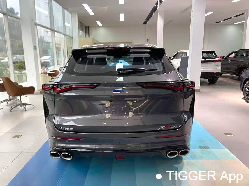 OSHAN 2023 Z6 1.5T blue whale smart collar city version automatic transmission