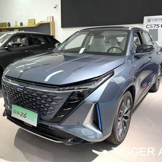 OSHAN 2023 Z6 iDD 1.5T three clutch 150KM flagship PLUS automatic transmission 二手车