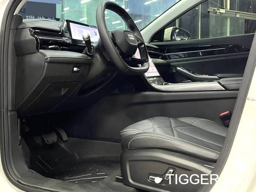 GALAXY 2024 L6 1.5T Longteng Edition 125km PLUS Automatic Transmission