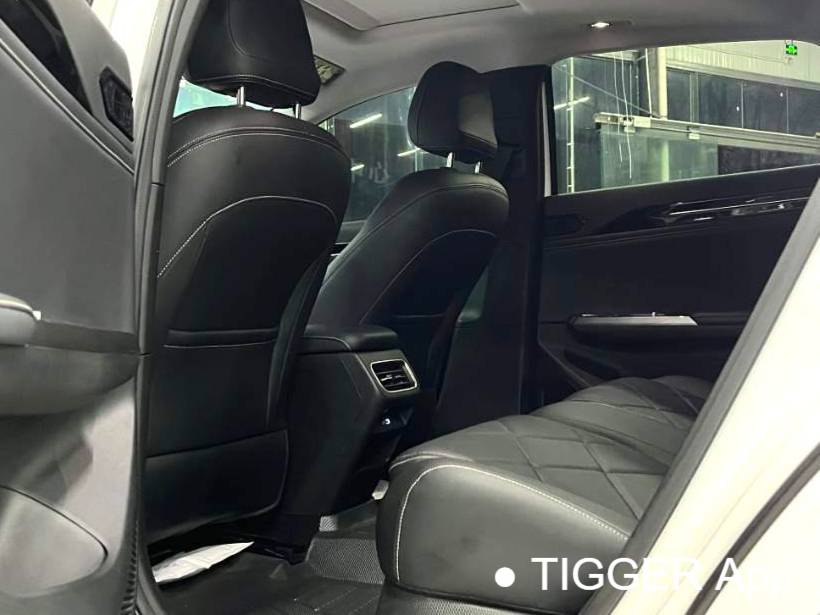 GALAXY 2024 L6 1.5T Longteng Edition 125km PLUS Automatic Transmission