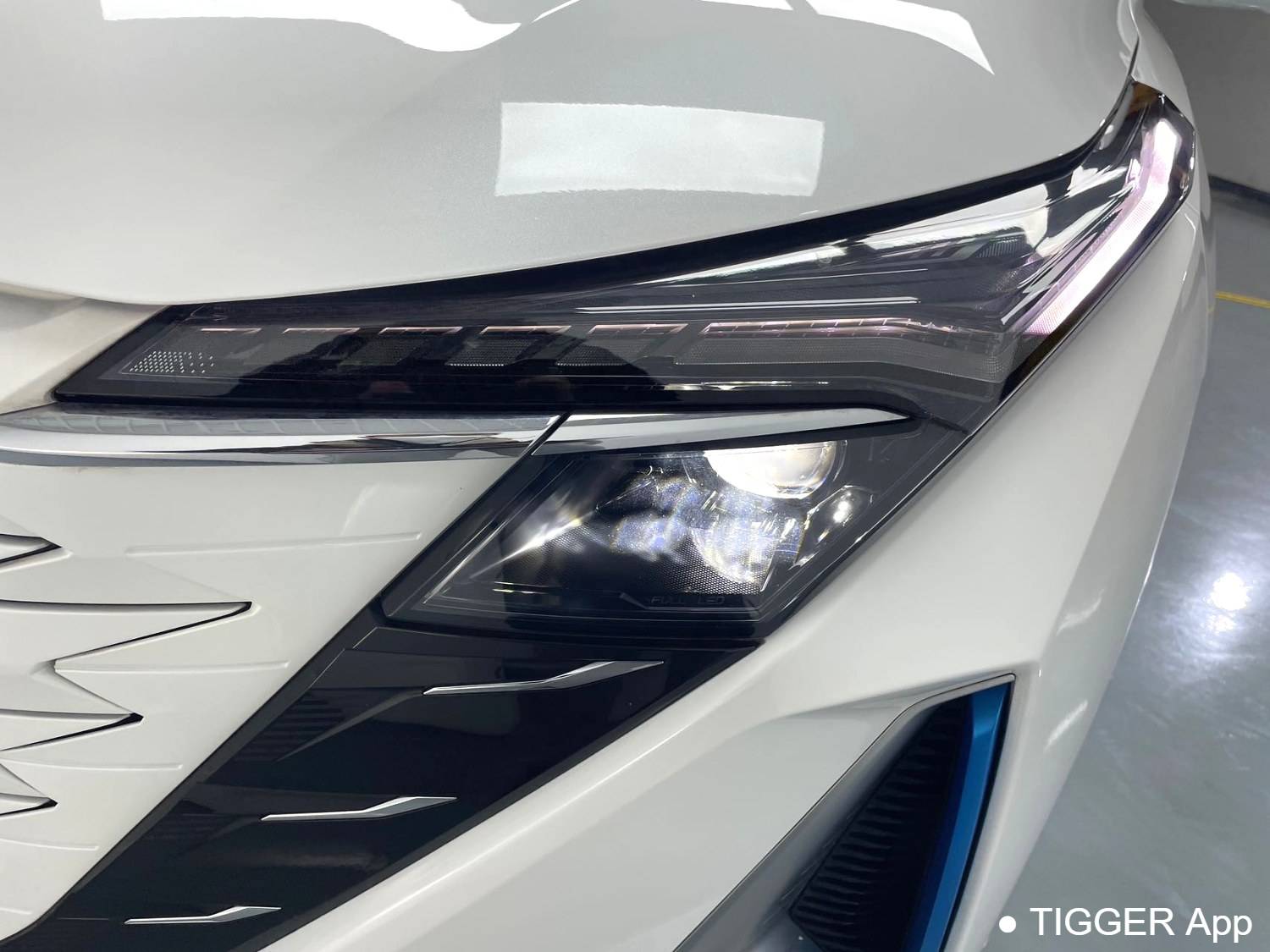 OSHAN 2023 Z6 iDD 1.5T three clutch 150KM flagship PLUS intelligent parking version automatic transmission