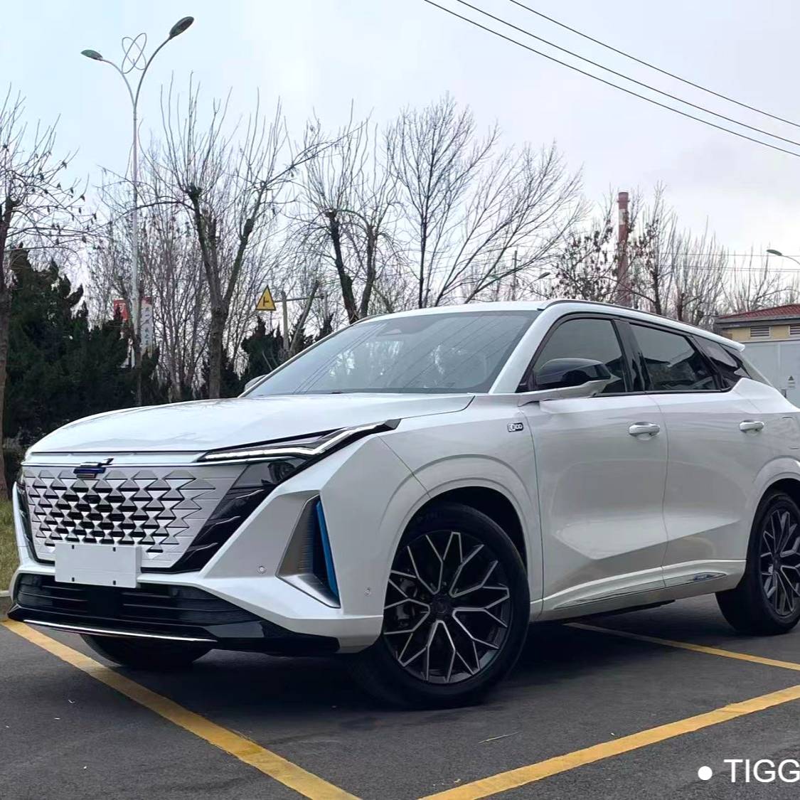 OSHAN 2023 Z6 iDD 1.5T three clutch 150KM flagship PLUS intelligent parking version automatic transmission 二手车