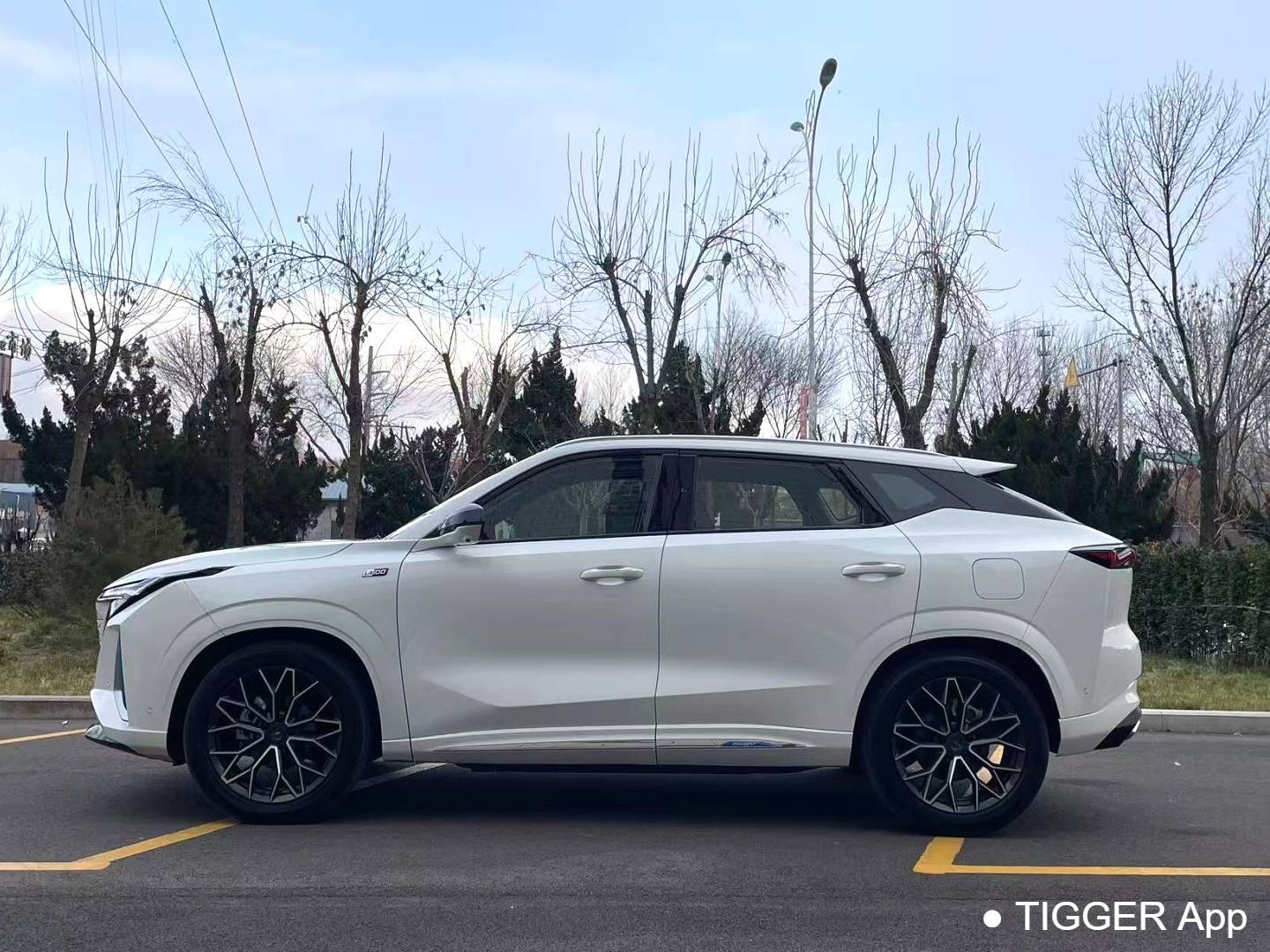 OSHAN 2023 Z6 iDD 1.5T three clutch 150KM flagship PLUS intelligent parking version automatic transmission